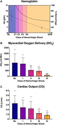 Class of hemorrhagic shock is associated with progressive diastolic coronary flow reversal and diminished left ventricular function